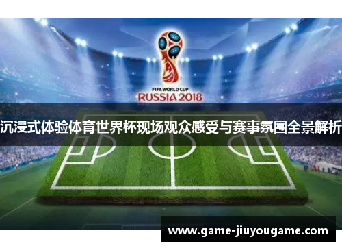 沉浸式体验体育世界杯现场观众感受与赛事氛围全景解析