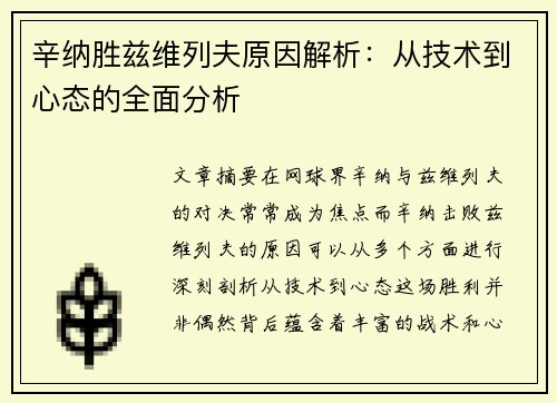 辛纳胜兹维列夫原因解析：从技术到心态的全面分析