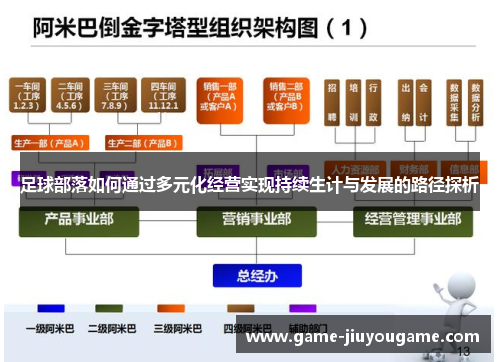 足球部落如何通过多元化经营实现持续生计与发展的路径探析